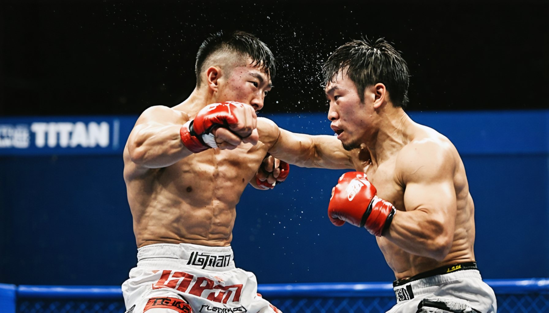 A Battle of Titans: Japan’s Thrilling World Flyweight Showdown Unfolds